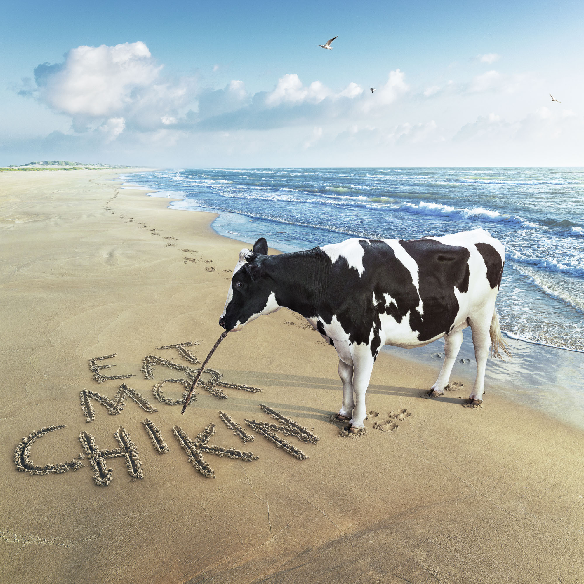 CFA_CIC_Beach_W37